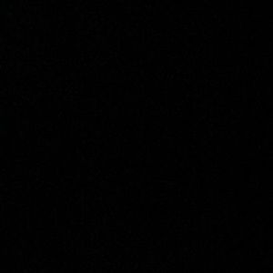 Meet your Posher, Tanner